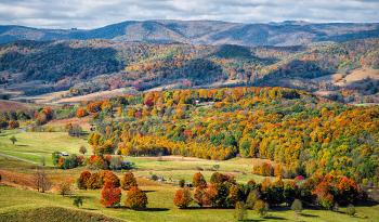 Rural field with changing leaf colors